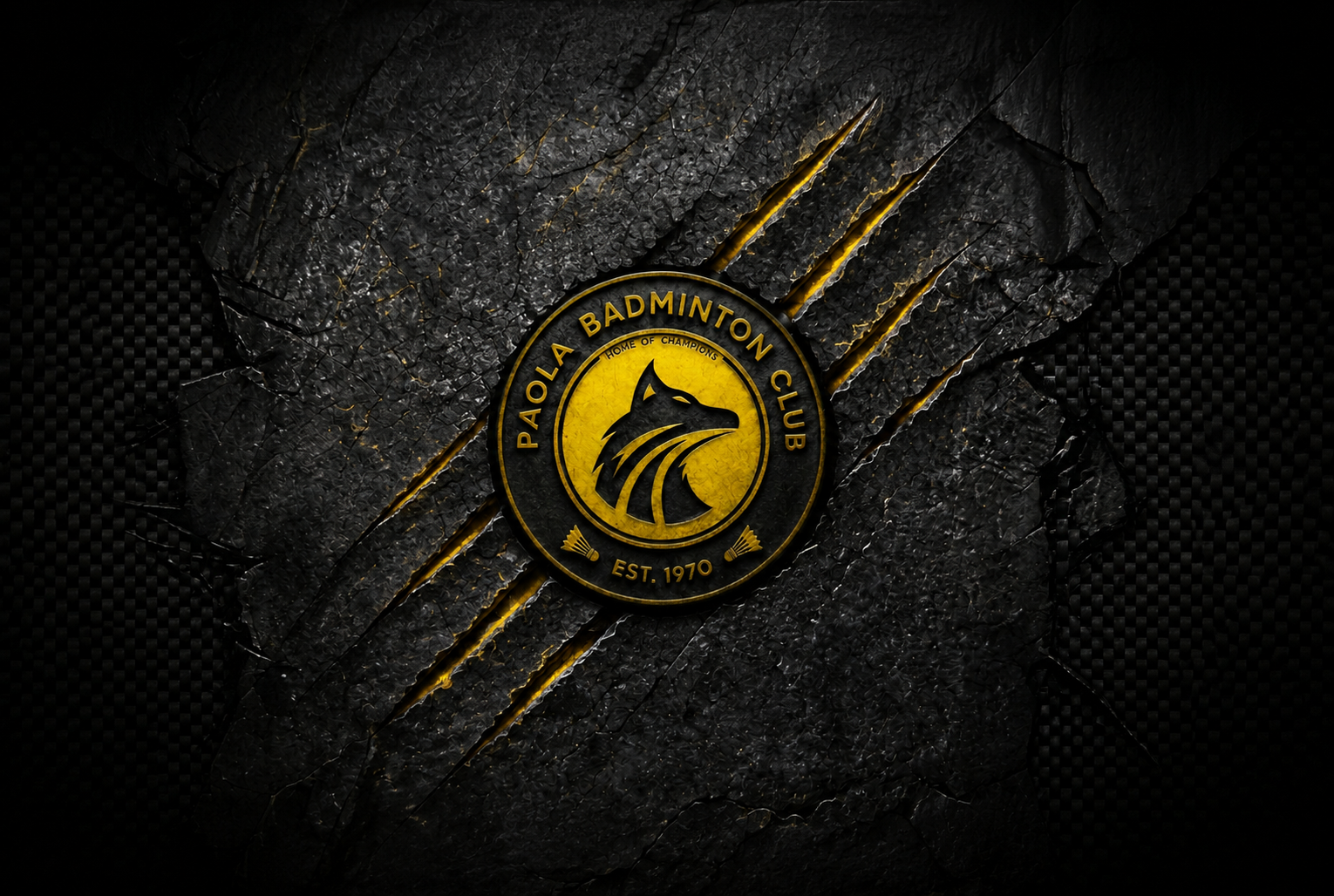 Background of Home Page